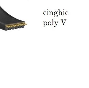 Kit cinghie poly V per Combinata legno Cema Magnum 266