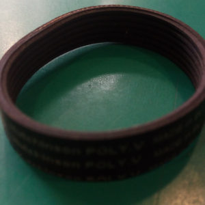 Cinghia striata 6PH136