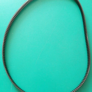 Cinghia dentata per G20113 Pastaio 10 & Lode G3 Ferrari impastatrice planetaria